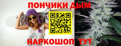 индика Кинель