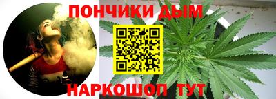 индика Кинель
