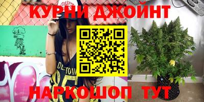 индика Кинель