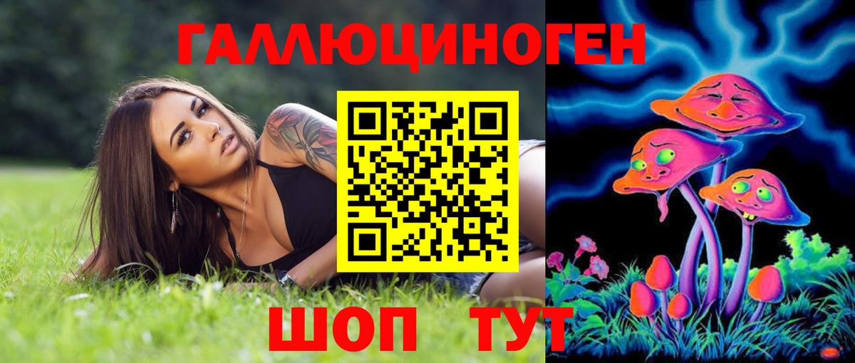 Псилоцибиновые грибы Psilocybine cubensis  Галлюциногенные грибы мицелий  Вход с VPN  Якутск 